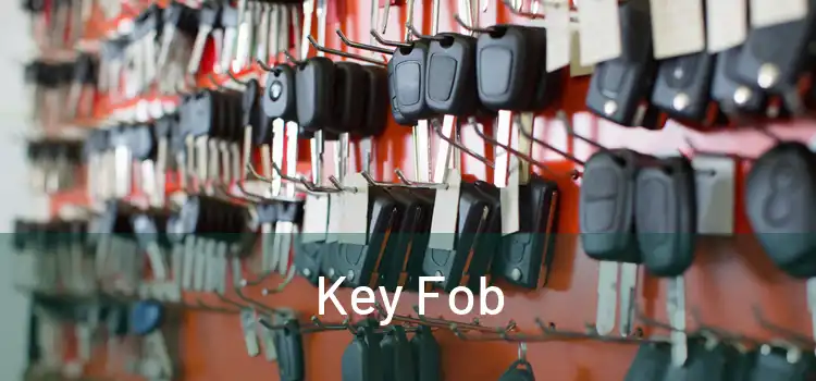  Key Fob 