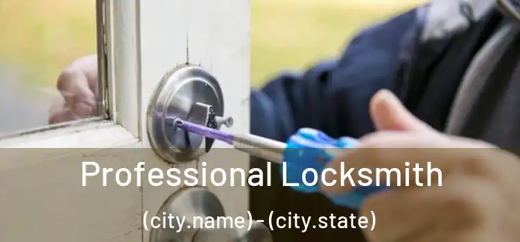 Professional Locksmith (city.name) - (city.state)